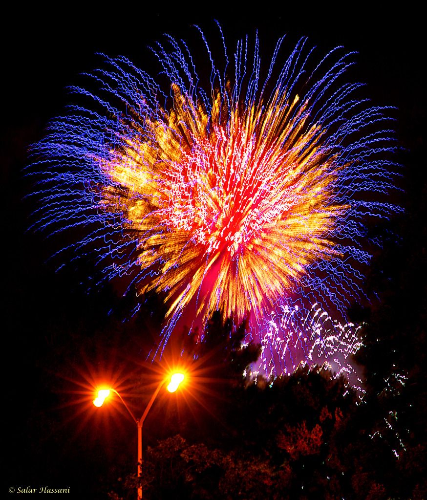 4th of July dogs photo: 4th of July 4thJulyFireworks-HDR.jpg
