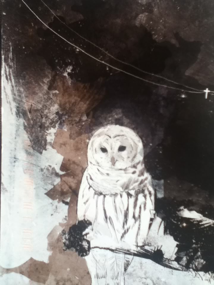 Owl ES-180891, From Spain