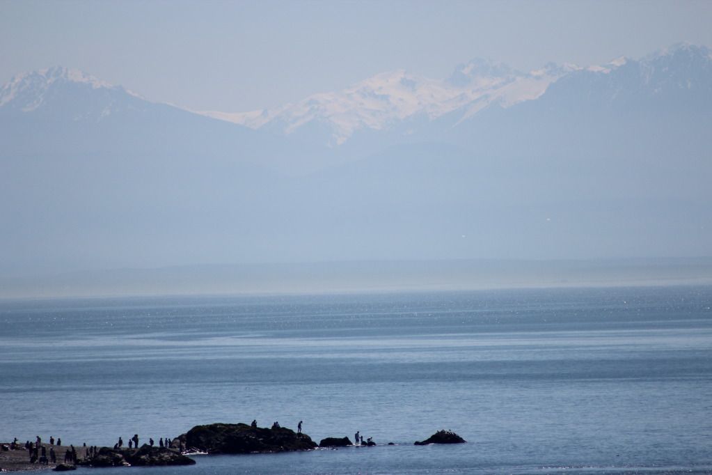 see Olympic national park