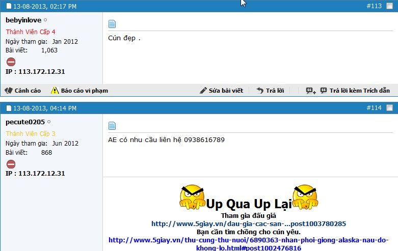 (pecute0205 + bebyinlove) clone kê giá => Ban forever + BL