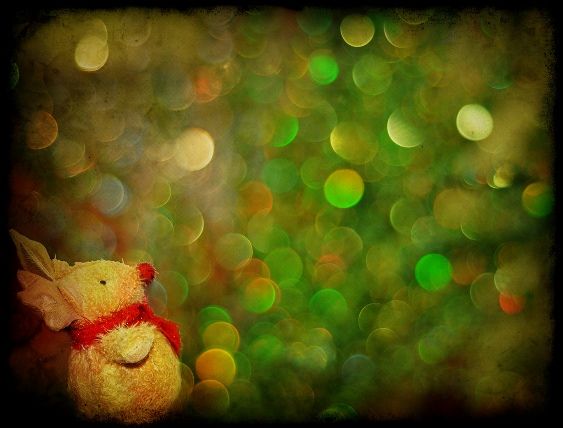 Bộ sưu tập ảnh Bokeh lung linh tuyệt đẹp