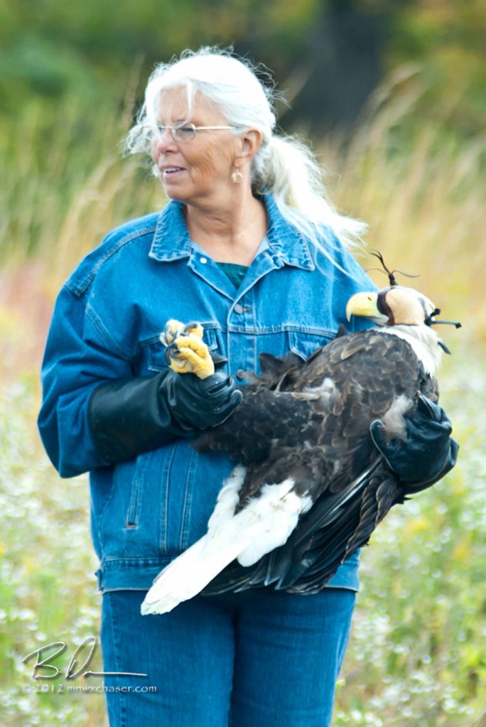 2012 The Raptor Center  Fall Release, Terry, one of my rescue mentors.  Susan couldn't make it this day.