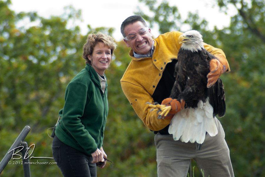 2012 The Raptor Center  Fall Release, This is the eagle Terry is holding in the other picture.  Dr Julie Ponder in the background.