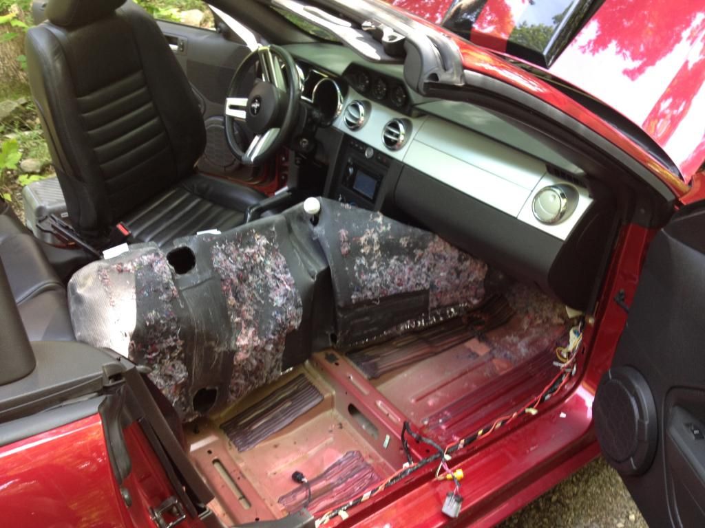 Convertible Top Leak and Carpet Mold Fix! Modded Mustang Forums