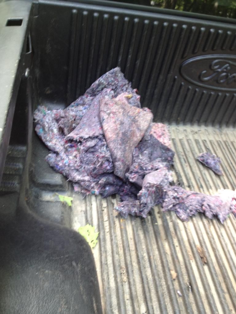 Convertible Top Leak and Carpet Mold Fix! Modded Mustang Forums