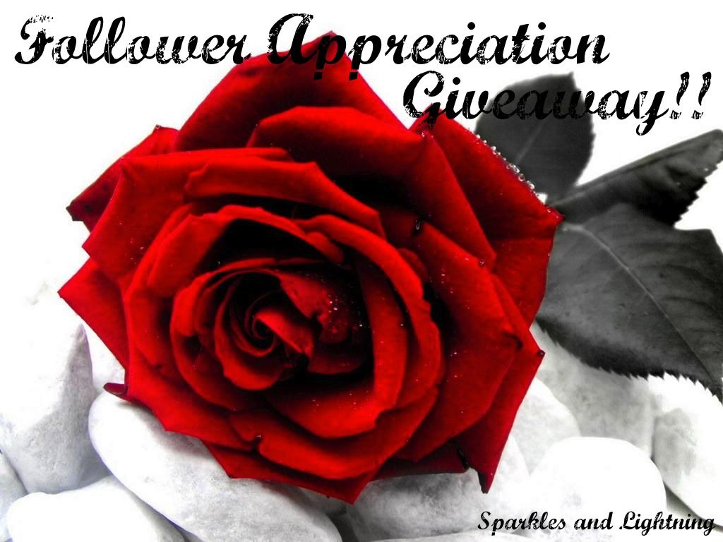 Sparkles and Lightning Followre Appreciation Giveaway