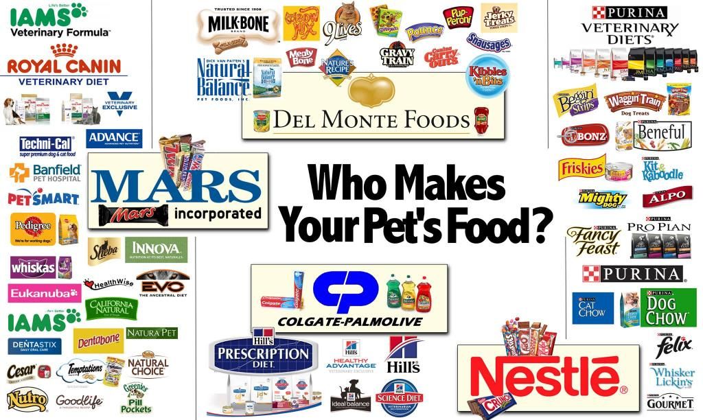 What food is made by which company. Puppy Forum and Dog Forums