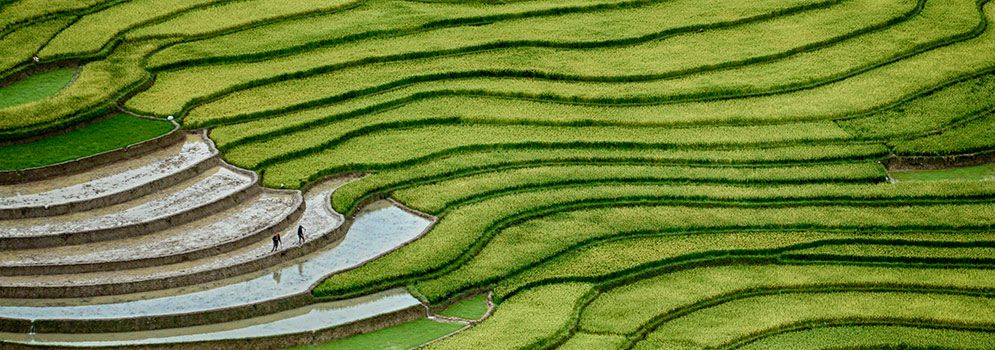 photo Riziiquestres2-Binh-C-Web.jpg