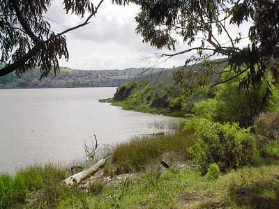 Glen cove Nature