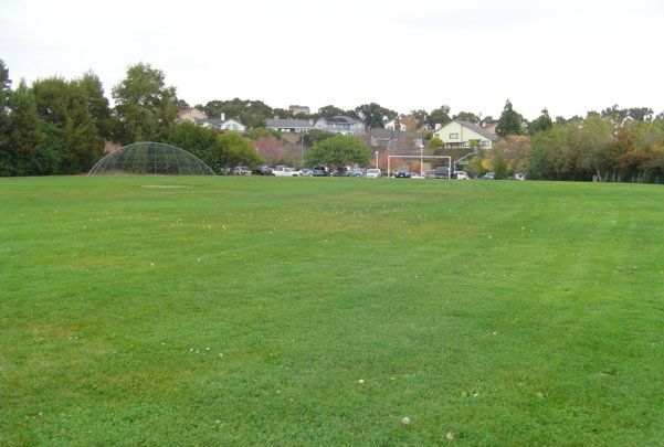 Glen cove grass