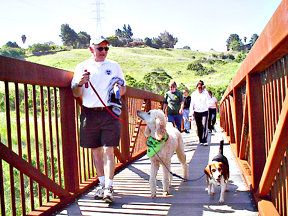 dog park