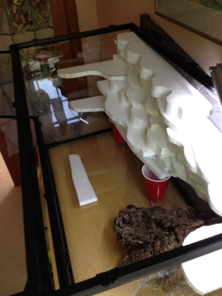 36"x18"x24" Exo Terra Display Build Dendroboard