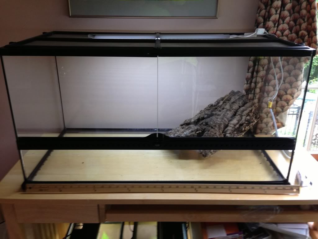 36"x18"x24" Exo Terra Display Build Dendroboard