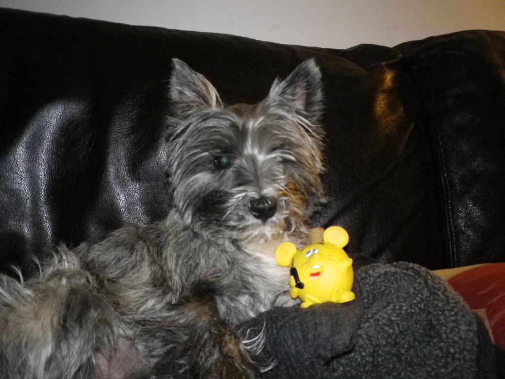 IMGP0045.jpg?t=1343035435