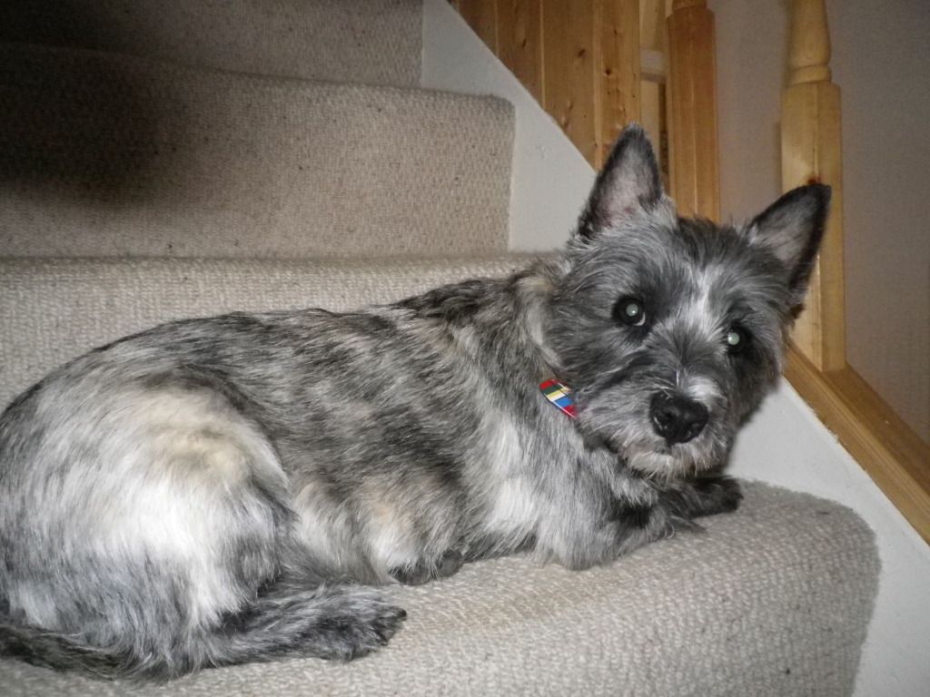 IMGP0095.jpg?t=1343035435