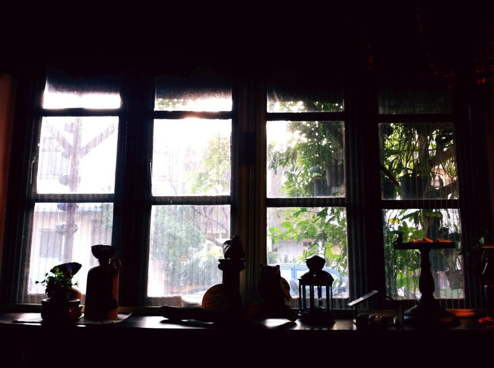 格子窗咖啡館 － 落地書架上的物品和外頭陽光搭配，很有戲