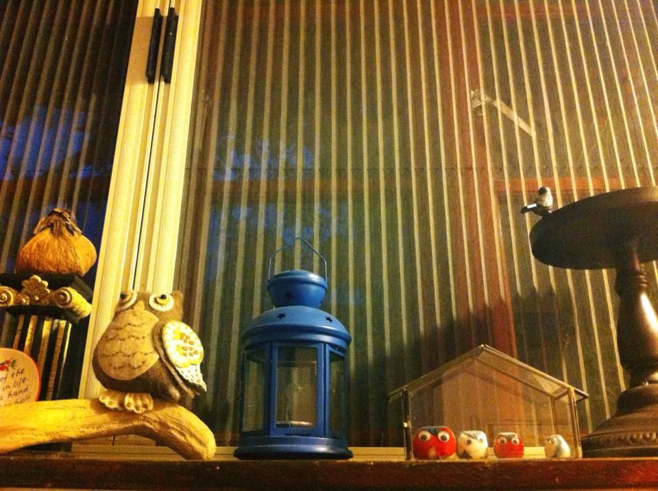 格子窗咖啡館：夜色低垂，室內昏黃色燈光開始起了效果
