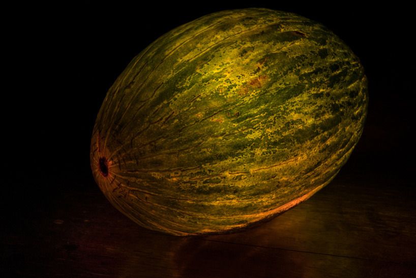 亨．微美誌：Radu Zaciu 玩水果，讓光源由內而外散發，每一種蔬果都成了最耀眼的宇宙行星
