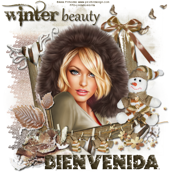  photo Bienvenida_Hermosolnvierno_LSombrita_zpsf4793769.png