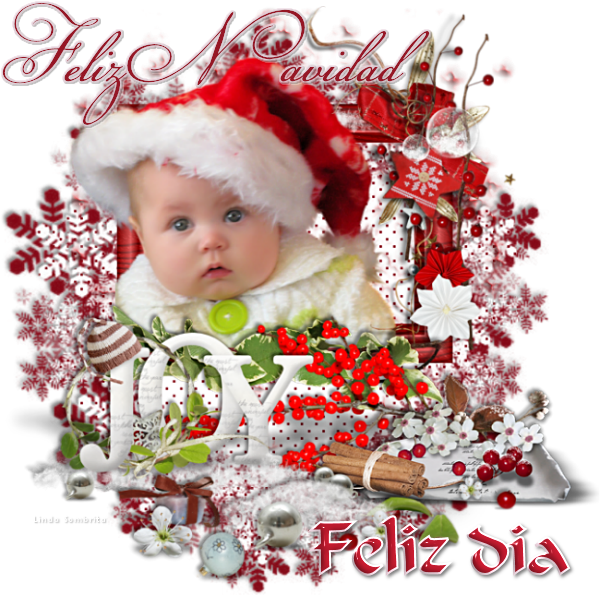  photo FelizDia_JoyToTheWorld_LSombrita_zps29654e93.png